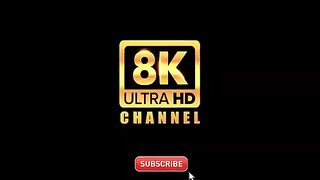 Ultimate Wild Animals Collection 8K ULTRA HD 8K TV