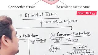 Epithelial tissue