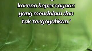 Quotes