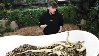 Would you sit in snakes for $10,00