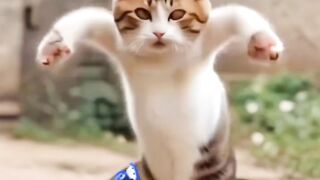 Cat dance????.#ai#viralshorts#viralvideo