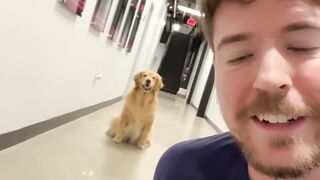 World’s Smartest Dog - MrBeast