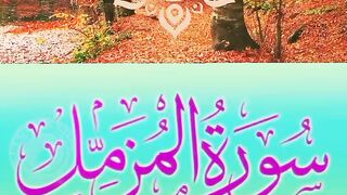 Beautiful Recitation Of Qur'an..! #shortvideo #relatable #islamic_video  #surahmuzamil #fyp  #tilawah #tilawat #foru