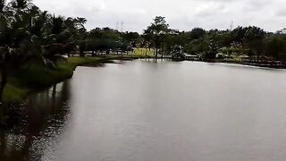 Tranquil Nature Under Cloudy Skies