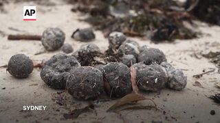 Sydney closes 2 beaches after hundreds of black spheres wash ashore.