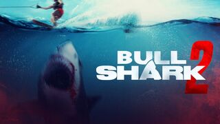 BULL SHARK 2