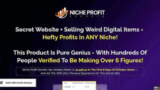 Niche Profit Secrets Review – A Step-by-Step Guide to Effortless Online Earnings