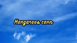 Animal Facts        Kangaroo Movement          #shorts