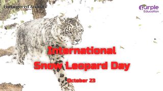 International Snow Leopard Day October 23.