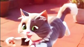 Watch Luna the Chubby Cat on a Mission! #catlovers #catvideos