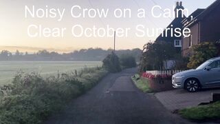 Noisy Crow on a calm, clear October Sunrise  - Fri 18/Oct/24