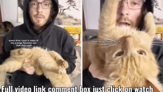 Cat Owner Claps Back at Criticism of How He Holds Orange Boy: 'Air Jail'