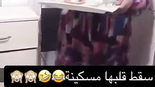 قطط مظحكة????????????