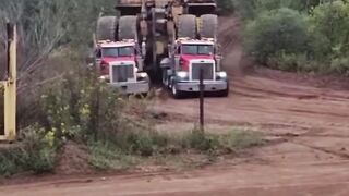 Truck tree