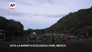 Rare comet draws Mexico’s stargazers to natural reserve spared from light pollution.