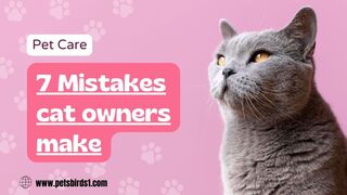 7 Crucial Mistakes to Avoid with Your Cat