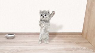 Dancing cat