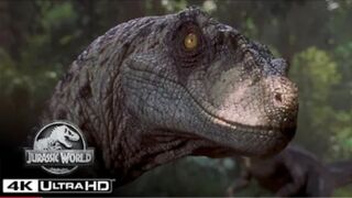 The Best Velociraptor Scenes in 4K HDR | Jurassic World