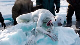 Misteri antartica