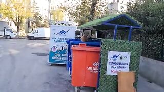 Poor hungry stray cat looking for food in garbage container.