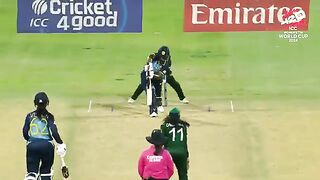 Bowlers stand out in UAE | A compilation of the best deliveries | WT20WC 2024