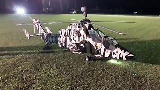 IRCHA 2024 Giant Heli-Factory Tiger Night Flight Demo by Bryce