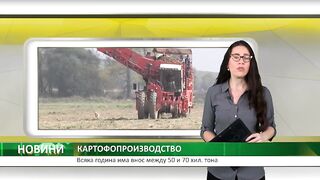 ЗА ПРОБЛЕМИТЕ НА КАРТОФОПРОИЗВОДСТВОТО В БЪЛГАРИЯ