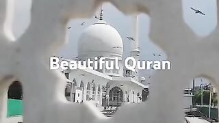 Surah Shuaraah..Just Urdu Translation..#foryou #ytshorts #yt #viralvideo