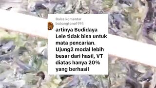 BENER KAN❗Budidaya lele itu tidak bisa untuk mata pencaharian, modal aja gede, untung dikit