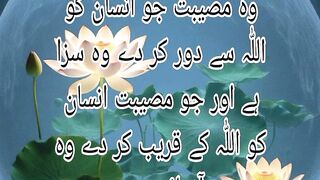 Hazrat Ali RA