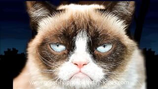 "Grumpy Cat’s Funny Birthday Song: A Celebration in Her Own Style