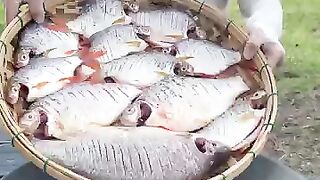 Fish crispy cook recipe #shortvideo #shorts #cooking #food #recipe