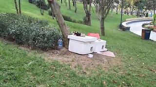 Homeless Kittens wait for me to bring food for them every day.