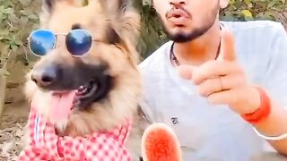 Very chilling Full Dolphin Ayan Viral Video le@ked funny video viral Feb spot