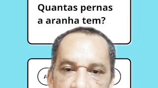 Quantas pernas a aranha tem?