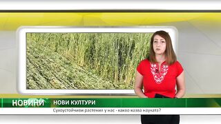 КАКВО КАЗВА НАУКАТА ЗА СУХОУСТОЙЧИВИТЕ РАСТЕНИЯ