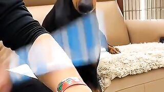 Cute Reaction of pets