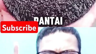 Aku reaction video larilah secepat mungkin jika menemukan ini di pantai