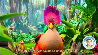 The Hoatzin Bird with Colors So Bright | Fun Song for Kids