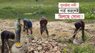 মাটি খুঁড়লেই মিলে সোনা !