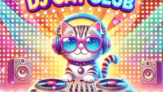 DJ cat