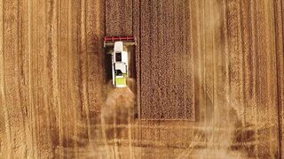 Tracteur, champ, Blé