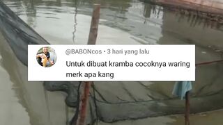 Rekomendasi JARING untuk dibuat KERAMBA merek apa kang❓