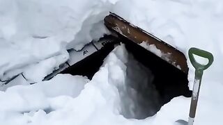 Whole house was under snow #iceland #reels #viralvideoシ #snow #funny