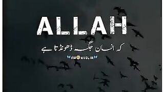 ALLAH ❣️