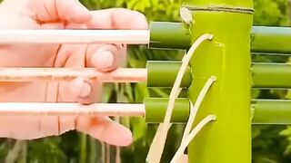 Bamboo Craft