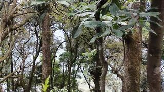 Darjeeling Zoo in west bangle India