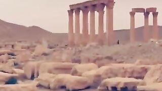 Palmyra