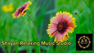 Music for headache relief