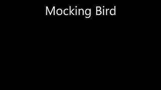 Eminem - Mocking Bird (Lyrics)